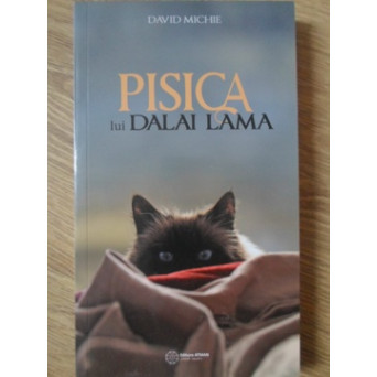PISICA LUI DALAI LAMA