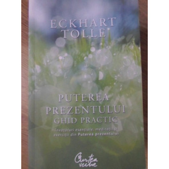 PUTEREA PREZENTULUI. GHID PRACTIC