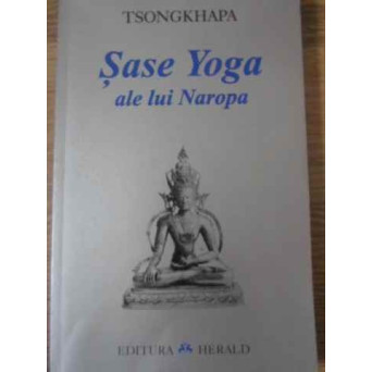 SASE YOGA ALE LUI NAROPA