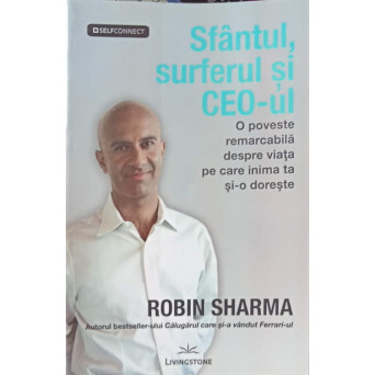 SFANTUL, SURFERUL SI CEO-UL. O POVESTE REMARCABILA DESPRE VIATA PE CARE INIMA TA SI-O DORESTE