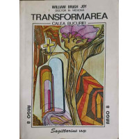 TRANSFORMAREA CALEA BUCURIEI TRANSFORMAREA CALEA BUCURIEI