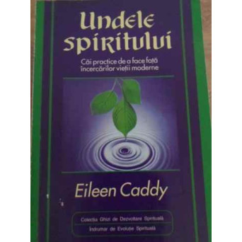 UNDELE SPIRITULUI. CAI PRACTICE DE A FACE FATA INCERCARILOR VIETII MODERNE