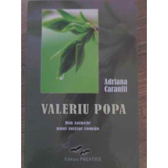 VALERIU POPA. DIN TAINELE UNUI INITIAT ROMAN