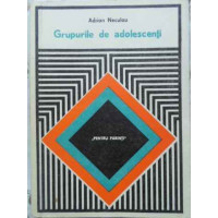 GRUPURILE DE ADOLESCENTI GRUPURILE DE ADOLESCENTI