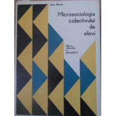 MICROSOCIOLOGIA COLECTIVULUI DE ELEVI