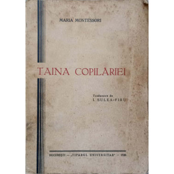 TAINA COPILARIEI