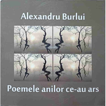 POEMELE ANILOR CE-AU ARS