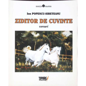 ZIDITOR DE CUVINTE