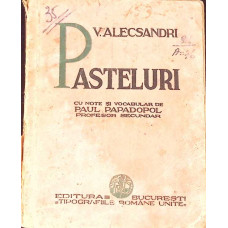 PASTELURI