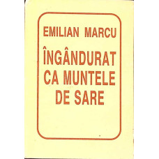 INGANDURAT CA MUNTELE DE SARE (CU DEDICATIA AUTORULUI)