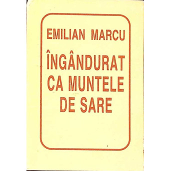 INGANDURAT CA MUNTELE DE SARE (CU DEDICATIA AUTORULUI)