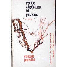 TARA CIRESILOR IN FLOARE. POEZIA JAPONIEI