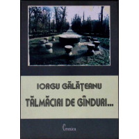 TALMACIRI DE GANDURI