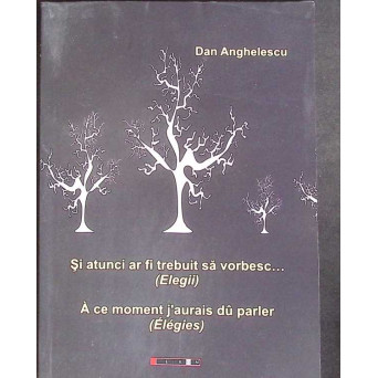 SI ATUNCI AR FI TREBUIT SA VORBESC. EDITIE BILINGVA ROMANA-FRANCEZA