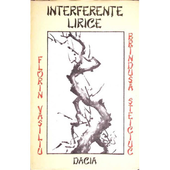 INTERFERENTE LIRICE. CONSTELATIA HAIKU