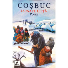 IARNA PE ULITA. POEZII
