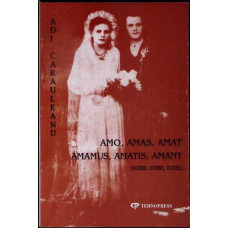 AMO, AMAS, AMAT. VORBE, VORBE, VORBE