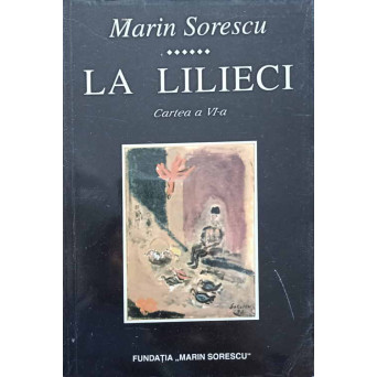 LA LILIECI, CARTEA A VI-A