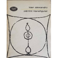 PAMANT TRANSFIGURAT PAMANT TRANSFIGURAT