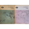 POEZII VOL.1-2
