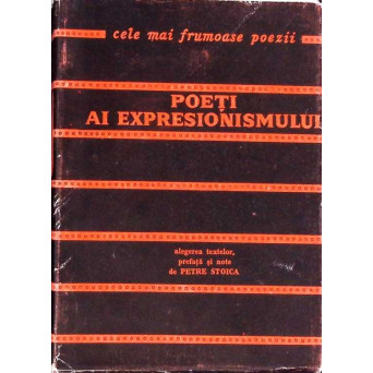 POETI AI EXPRESIONISMULUI