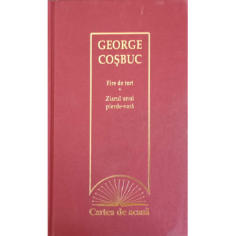 FIRE DE TORT. ZIARUL UNUI PIERDE-VARA