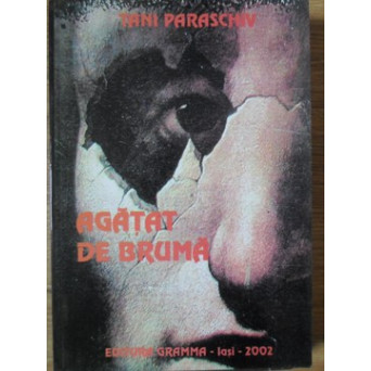 AGATAT DE BRUMA. POEZII