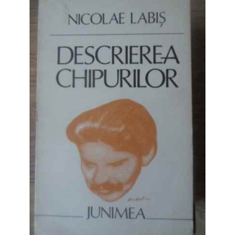 DESCRIEREA CHIPURILOR