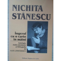 INGERUL CU O CARTE IN MAINI INGERUL CU O CARTE IN MAINI