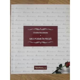MICI POEME IN PROZA