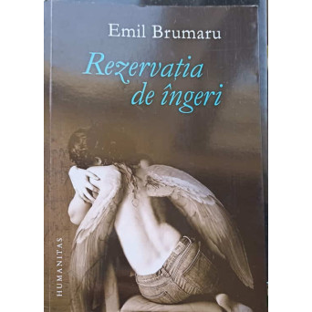 REZERVATIA DE INGERI