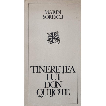 TINERETEA LUI DON QUIJOTE TINERETEA LUI DON QUIJOTE