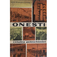 ONESTI - CETATEA PETROCHIMIEI ONESTI - CETATEA PETROCHIMIEI