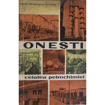 ONESTI - CETATEA PETROCHIMIEI