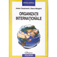 ORGANIZATII INTERNATIONALE