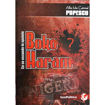 CE SE ASCUNDE IN SPATELE BOKO HARAM?