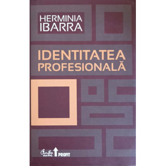 IDENTITATEA PROFESIONALA