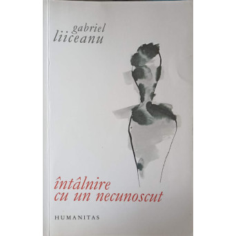 INTALNIRE CU UN NECUNOSCUT