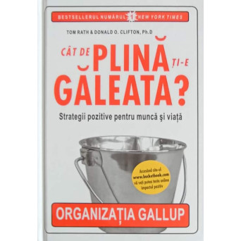 CAT DE PLINA TI-E GALEATA? STRATEGII POZITIVE PENTRU MUNCA SI VIATA