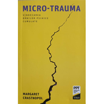 MICRO-TRAUMA. VINDECARE RANILOR PSIHICE CUMULATE