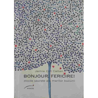 BONJOUR, FERICIRE! MICILE SECRETE ALE MARILOR BUCURII