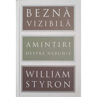 BEZNA VIZIBILA. AMINTIRI DESPRE NEBUNIE