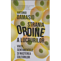 STRANIA ORDINE A LUCRURILOR STRANIA ORDINE A LUCRURILOR