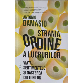 STRANIA ORDINE A LUCRURILOR