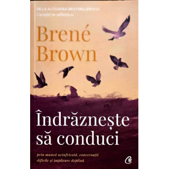 INDRAZNESTE SA CONDUCI, PRIN MUNCA NEINFRICATA, CONVERSATII DIFICILE SI IMPLICARE DEPLINA