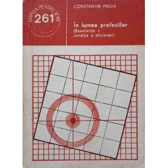 IN LUMEA PROFESIILOR (EXPERIENTA - CONDITIE A EFICIENTEI)