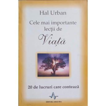 CELE MAI IMPORTANTE LECTII DE VIATA. 20 DE LUCRURI CARE CONTEAZA