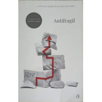 ANTIFRAGIL: CE AVEM DE CASTIGAT DE PE URMA DEZORDINII ANTIFRAGIL: CE AVEM DE CASTIGAT DE PE URMA DEZORDINII