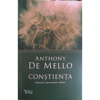 CONSTIENTA, CAPCANELE SI OPORTUNITATILE REALITATII