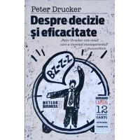 DESPRE DECIZIE SI EFICACITATE DESPRE DECIZIE SI EFICACITATE